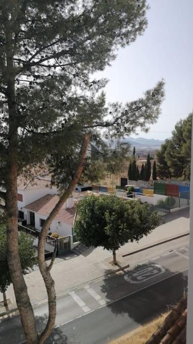 Views, Family & Private Parking In Alto Albayzin Apartment Granada Luaran gambar